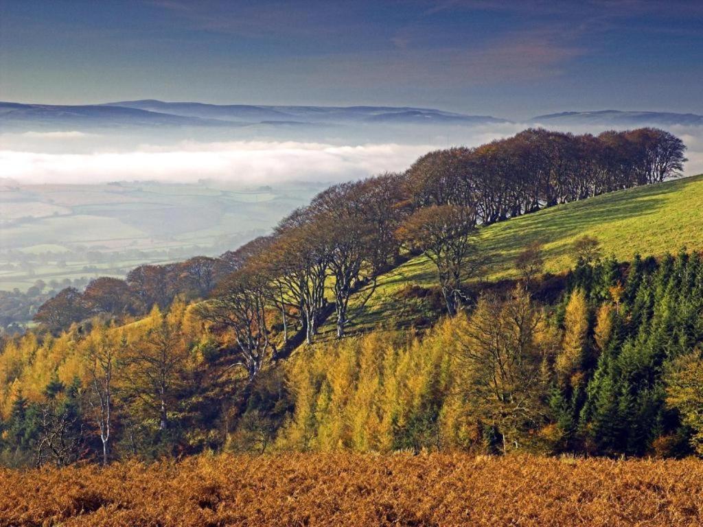 Notley Arms Inn Exmoor National Park Elworthy 外观 照片