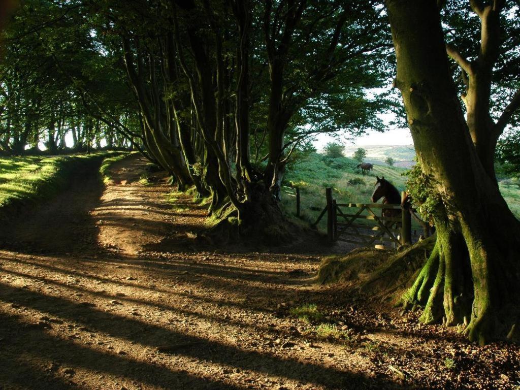 Notley Arms Inn Exmoor National Park Elworthy 外观 照片