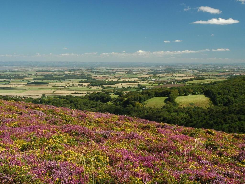 Notley Arms Inn Exmoor National Park Elworthy 外观 照片